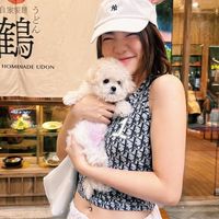 ʚ แฟนคลับ WONDERFRAME ɞ