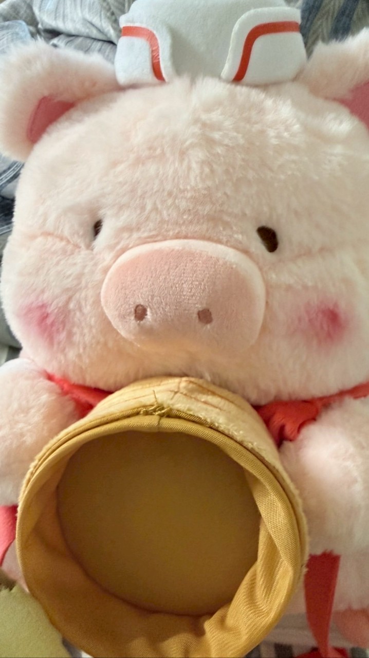 小豬卡舖Pig Card