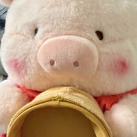 小豬卡舖Pig Card