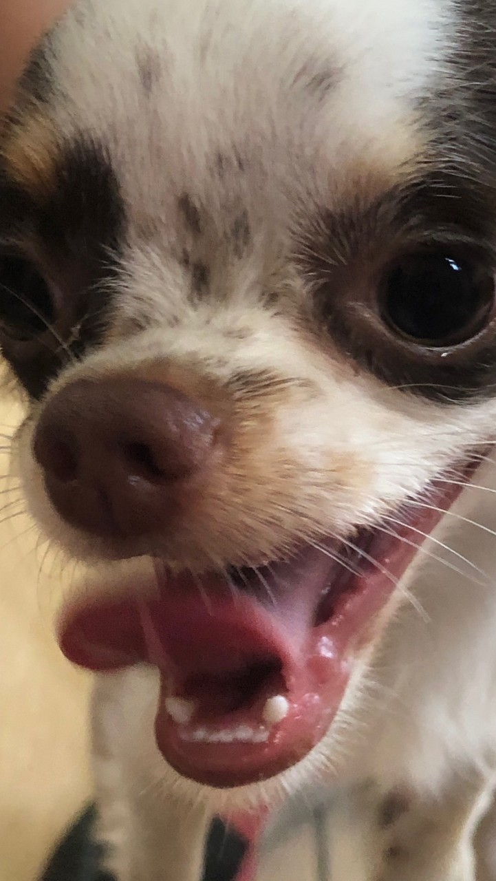 追tf