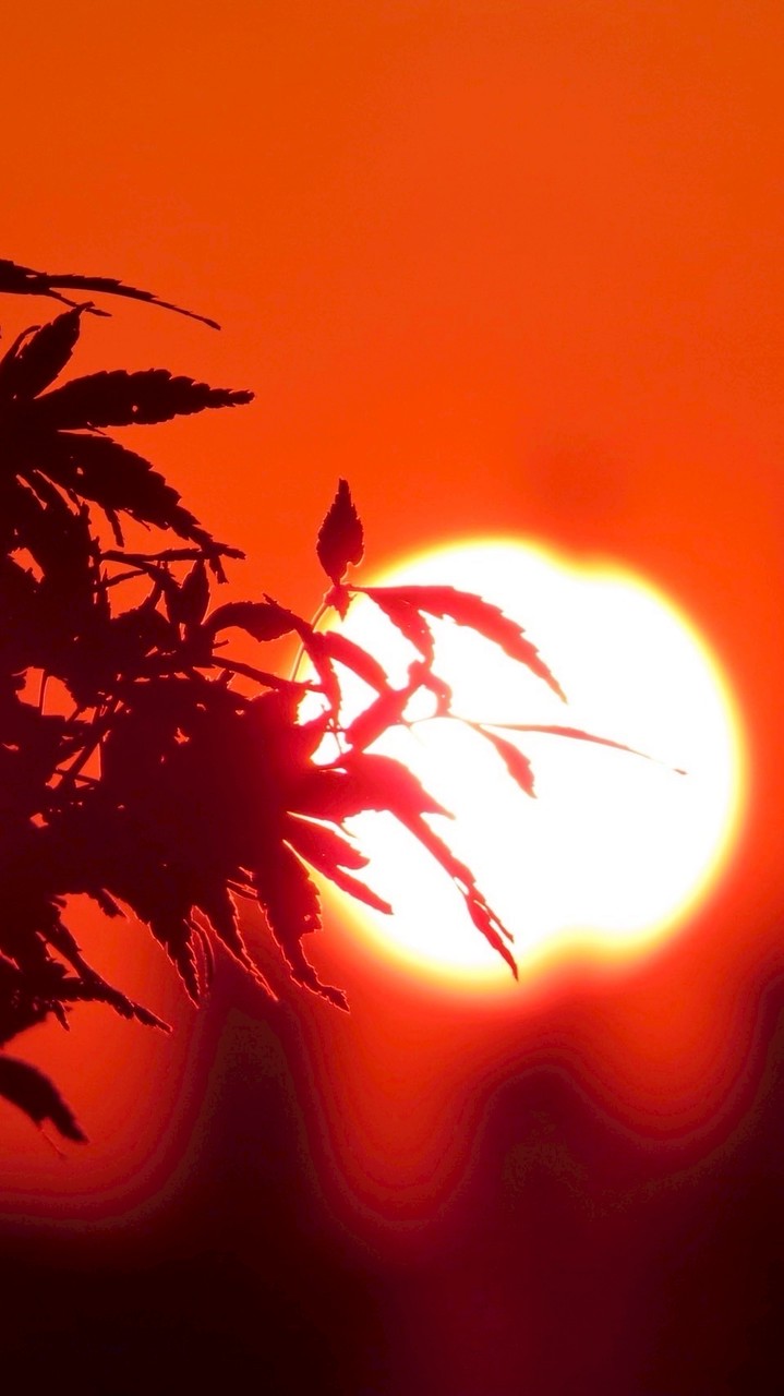 「日本の風景」 風景写真、カメラが好きな人