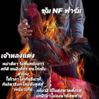 ซุ้ม   NF  ฟาร์ม
