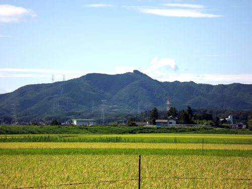 実際訪問したユーザーが直接撮影して投稿した杉目山 / 峠鹿狼山の写真