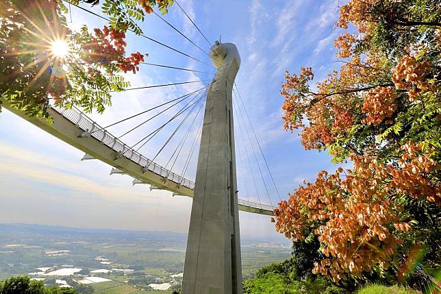 圖片來源：IG @chang_wei_hua