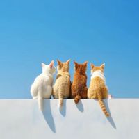 30+週休七日🩵