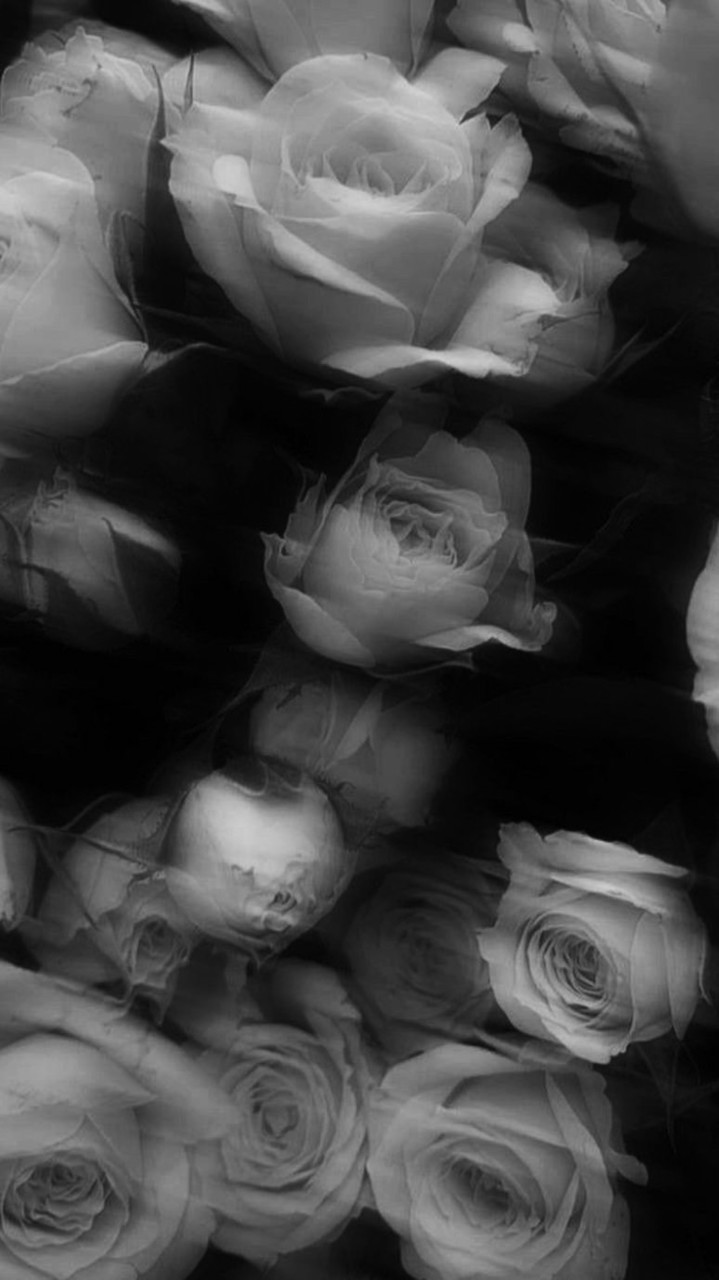 虜   《  トリコ  》