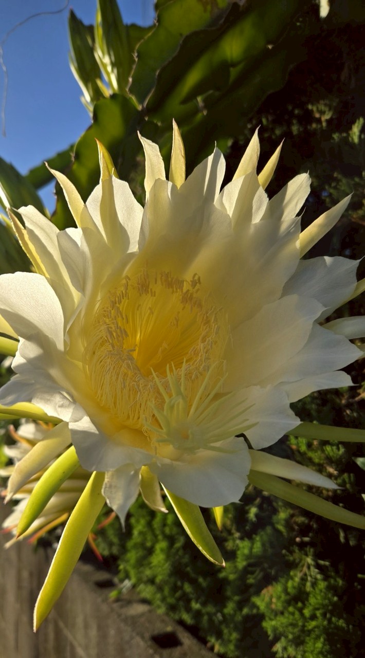 ⛲️🐦 ほのぼの広場　　　 　　🌱 ほっこりしましょう 🌱      🍹 一人暮しの方いらっしゃい