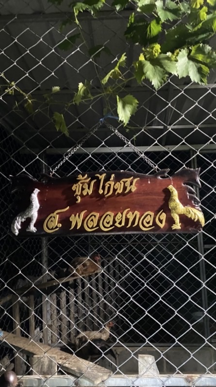 ซุ้มไก่ส.พลอยทอง