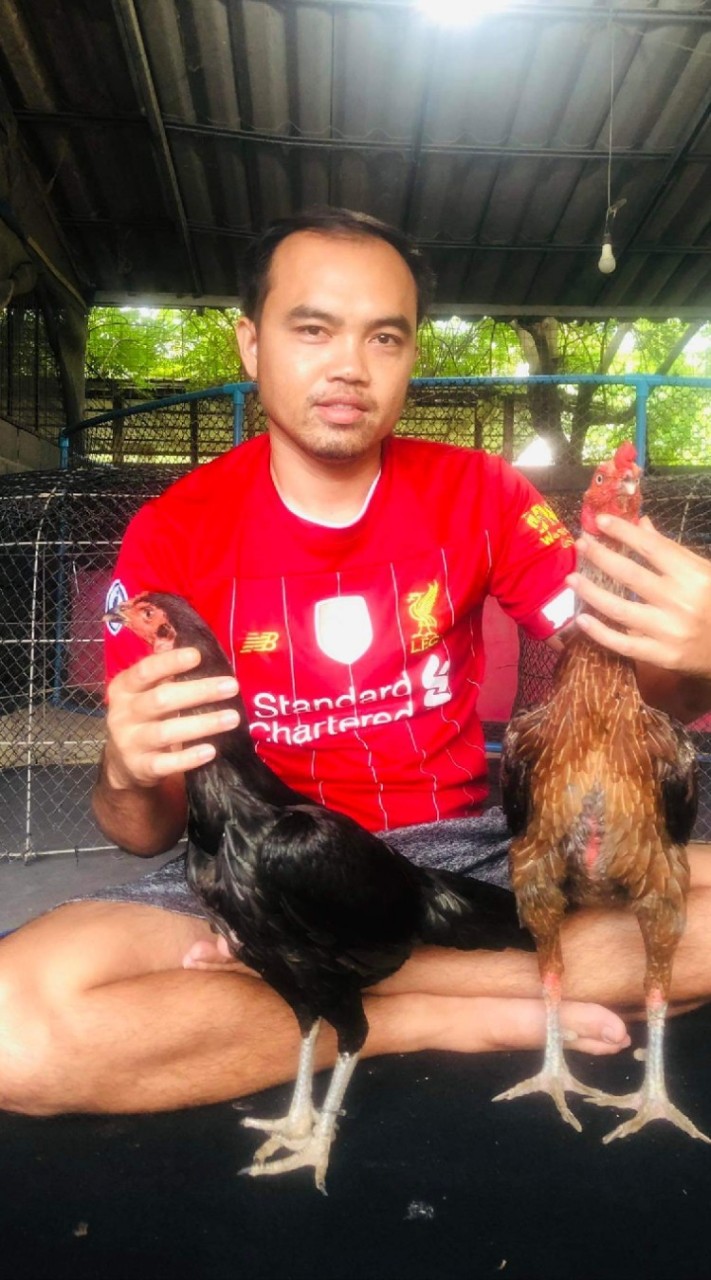 🐓วันชนะฟาร์ม🐓