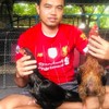 🐓วันชนะฟาร์ม🐓
