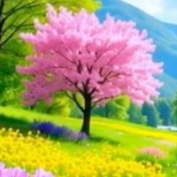 🪷🙏回歸極樂故鄉🌈