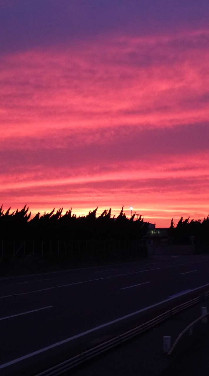 〜和歌山市民の集い〜
