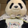 🐼ྀི連線愛寶樂園/神樹坪連線代購團·͜·