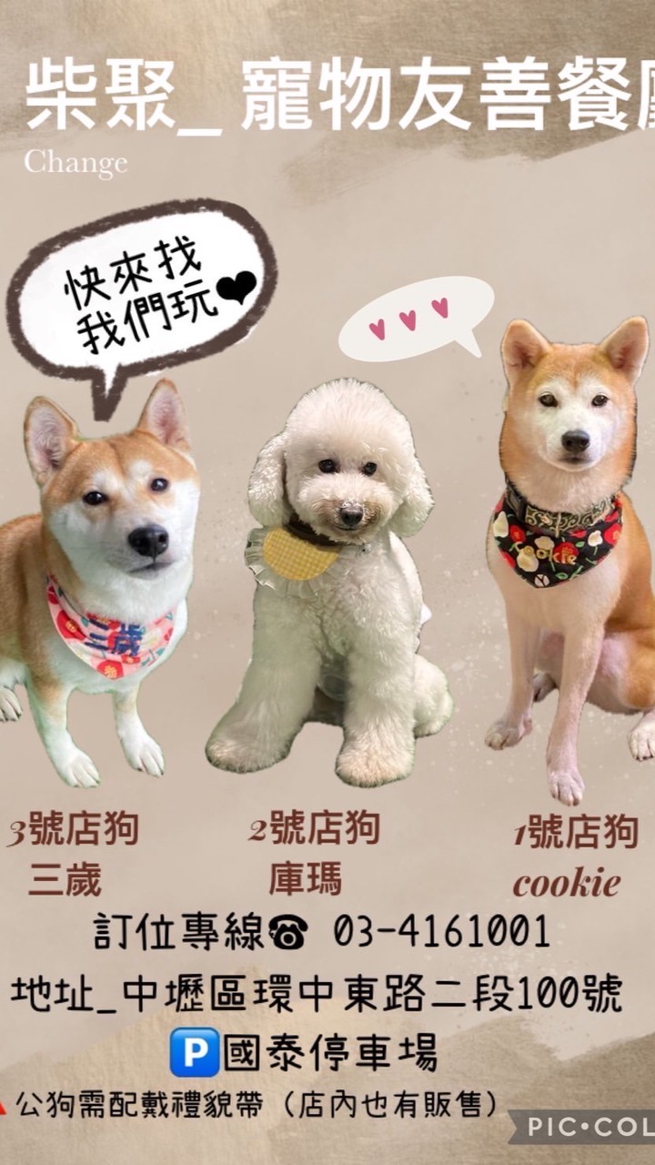 柴聚（寵物友善餐廳）