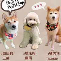 柴聚（寵物友善餐廳）