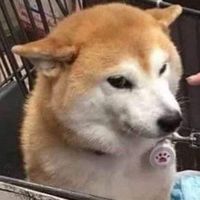 宇宇投資學堂
