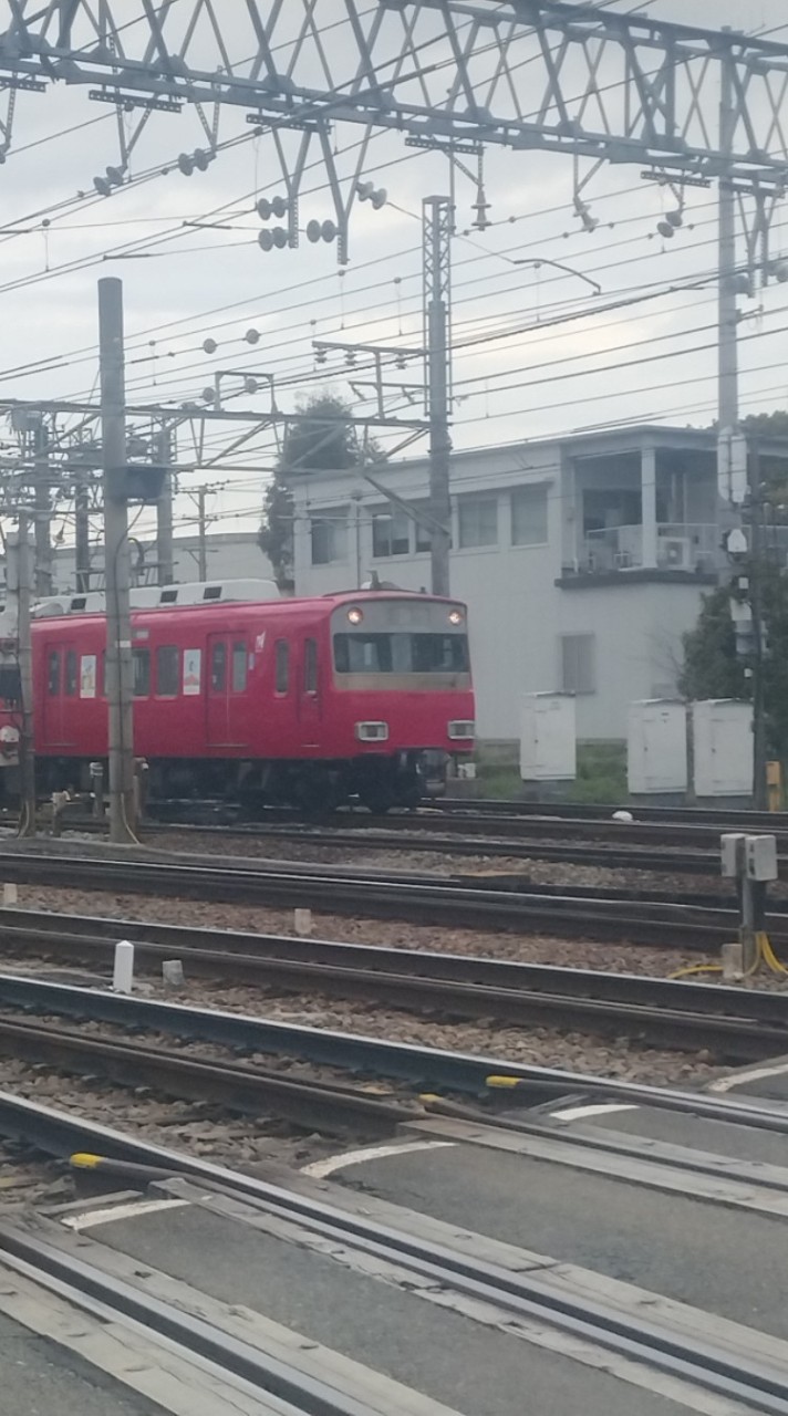 あつまれ学生鉄オタの森林！