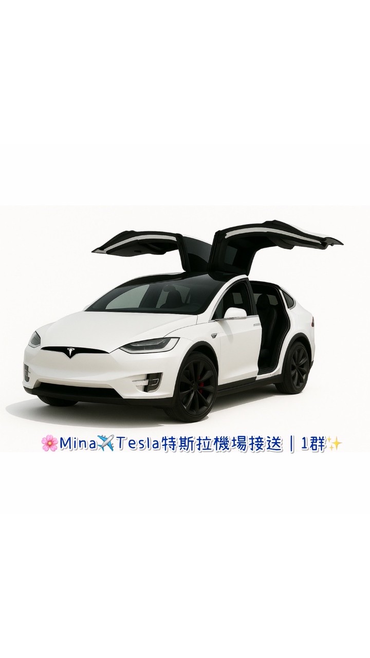 Mina 🌸Tesla機場接送✈️苗栗新竹桃園