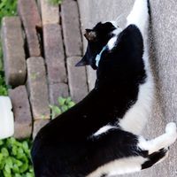【連絡用】Enjoy yoga inあきる野＋オンライン