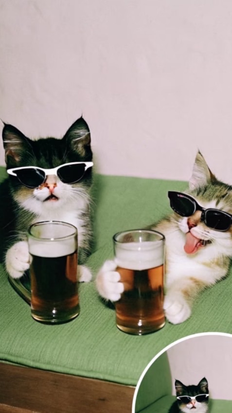 今晚酒了嗎🍷