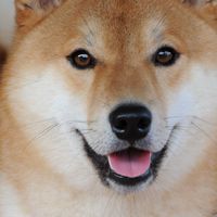 深喉嚨