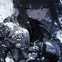 カーパ2 1.依頼など