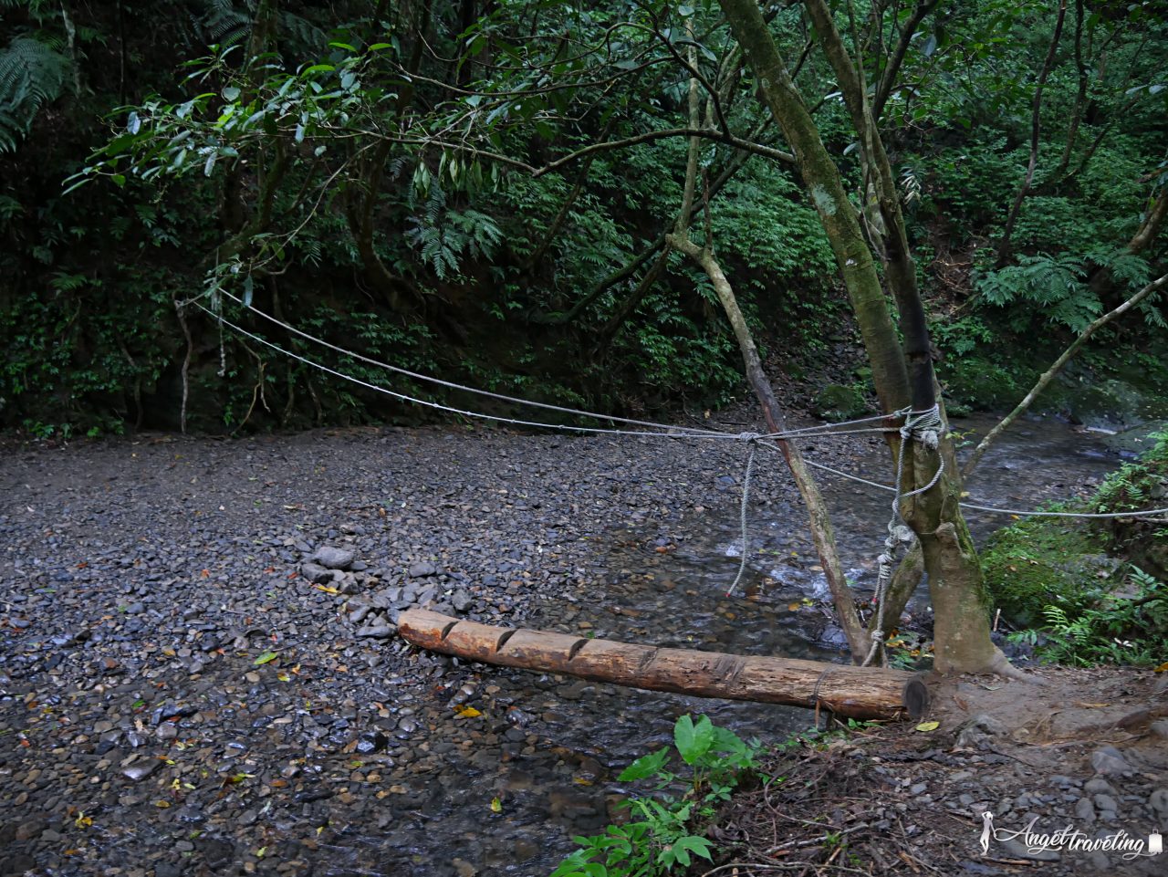 坪溪古道473