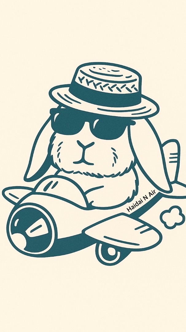 Haidai N 連線代購🐰