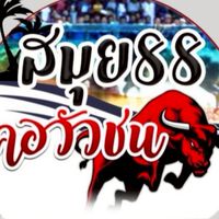 คอวัวชน88