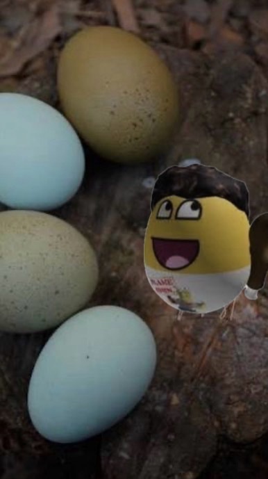 全Roblox中文圈最抽象群