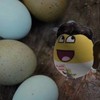 全Roblox中文圈最抽象群