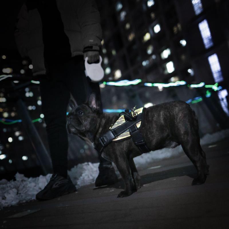 ⚠️注意門市同步販售購買前請先聊聊確定尺寸 商品有貨再下單特色 整件式發光光感細膩如夢如幻，600道全反色光導纖維，擁有雙倍經緯編織技術產品說明◆ 10種光效模式，多彩變化◆ 7種恆定光效 水晶洪/夢