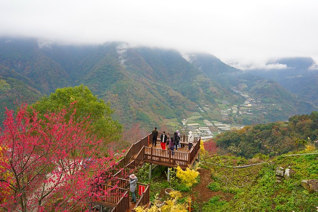 望高茶園景觀餐廳
