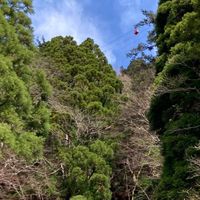 関西ワンダーフォーゲル部！（登山好き集まれ～！　初心者歓迎）