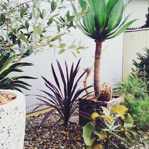 写真 Maua Nail 北本地ケ原町 尾張旭駅 ネイル まつエク By Line Place