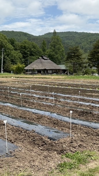 大倉ふるさと農園コミュニティ