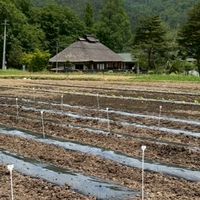 大倉ふるさと農園コミュニティ