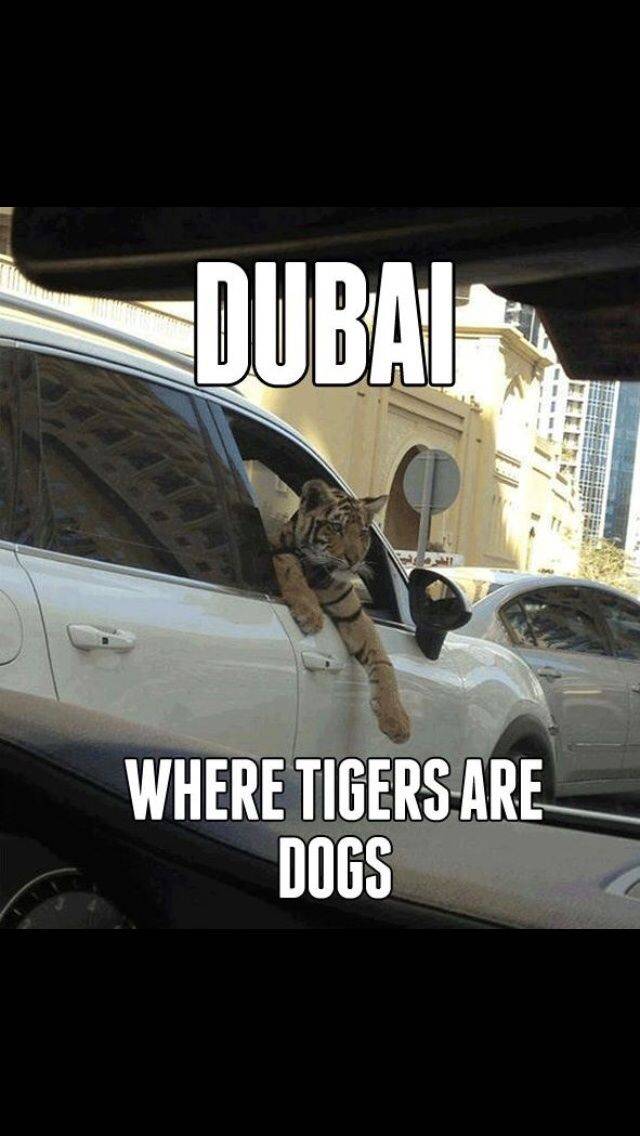 10 Hal Unik Ini Cuma Ada Di Dubai, Horang Kaya Mah Bebaaas!