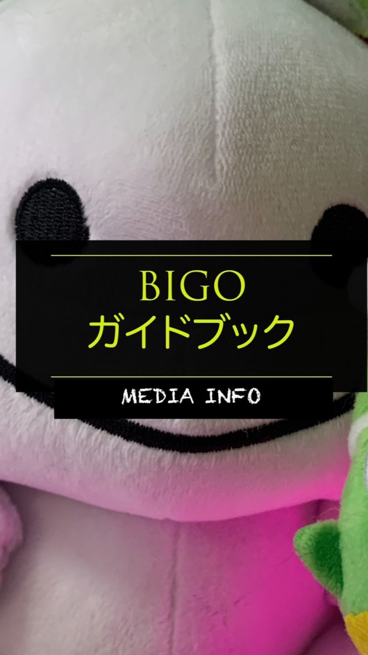 BIGOLIVEガイドブック🦖MEDIA情報局📝