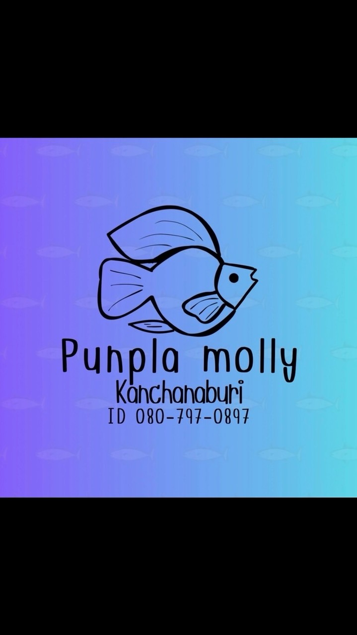 Punpla Molly Kanchanaburi