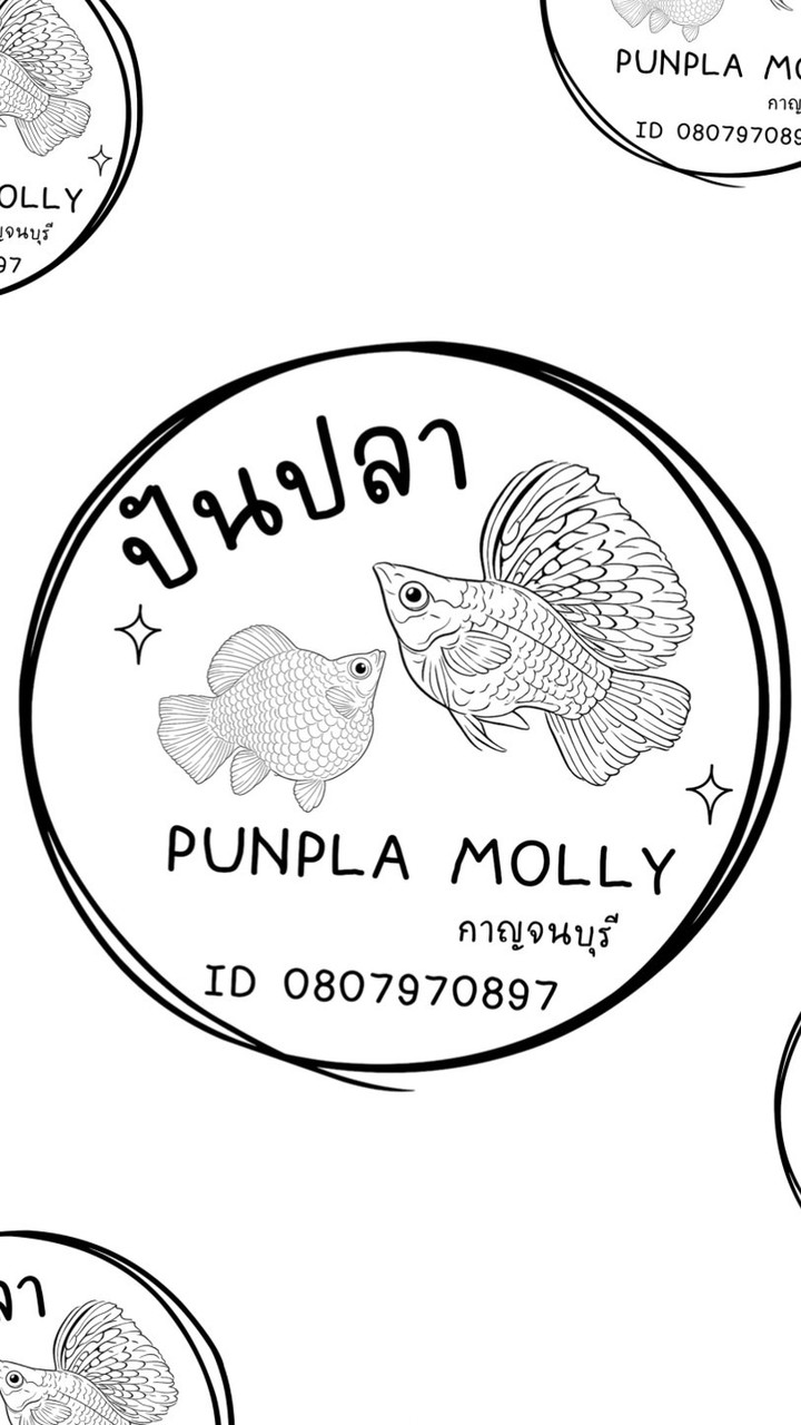 Punpla Molly Kanchanaburi