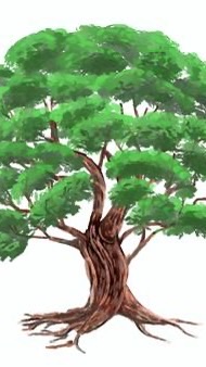 113學年樟樹班