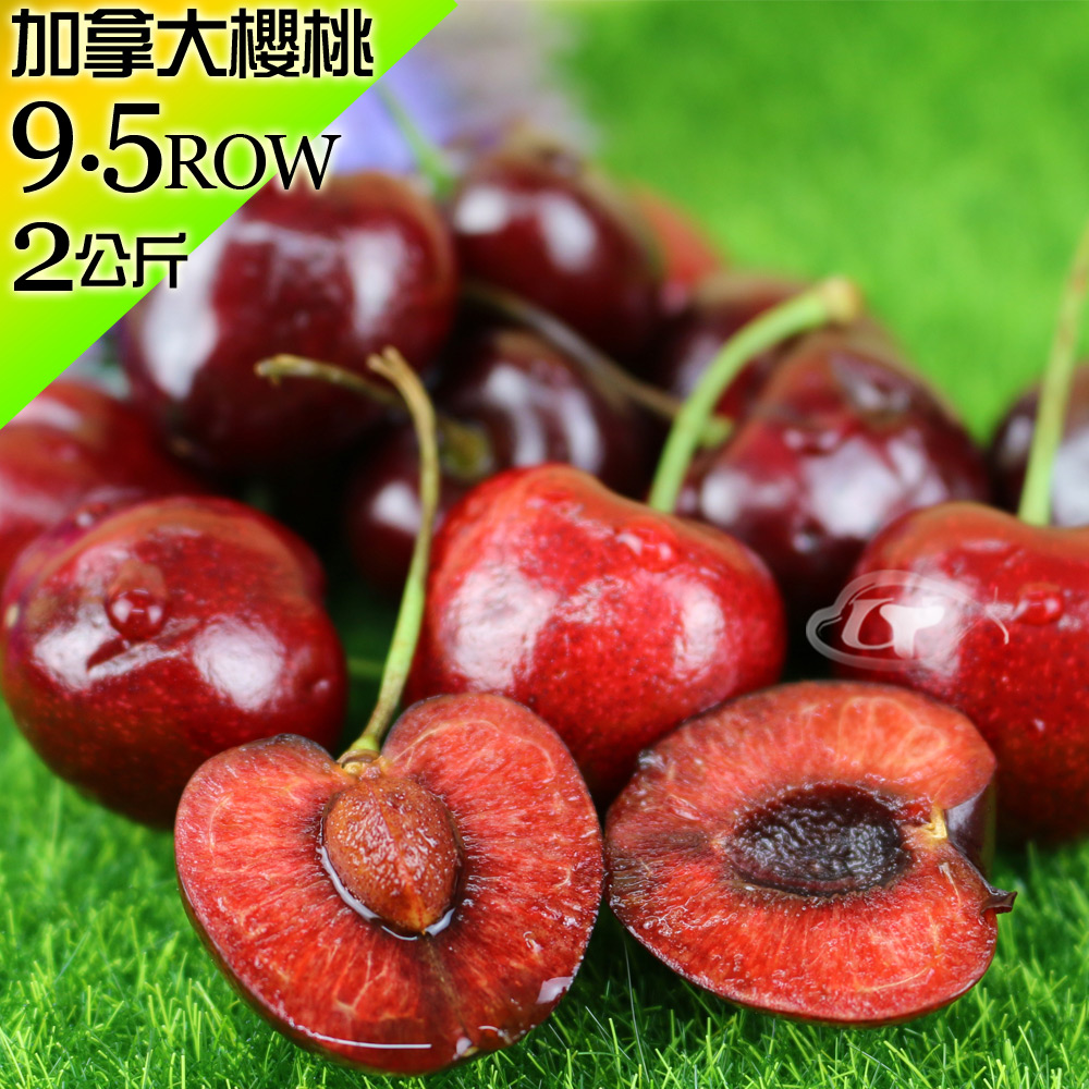 (預購)【果之家】卑詩省純淨雪水空運加拿大櫻桃禮盒9.5ROWx2公斤