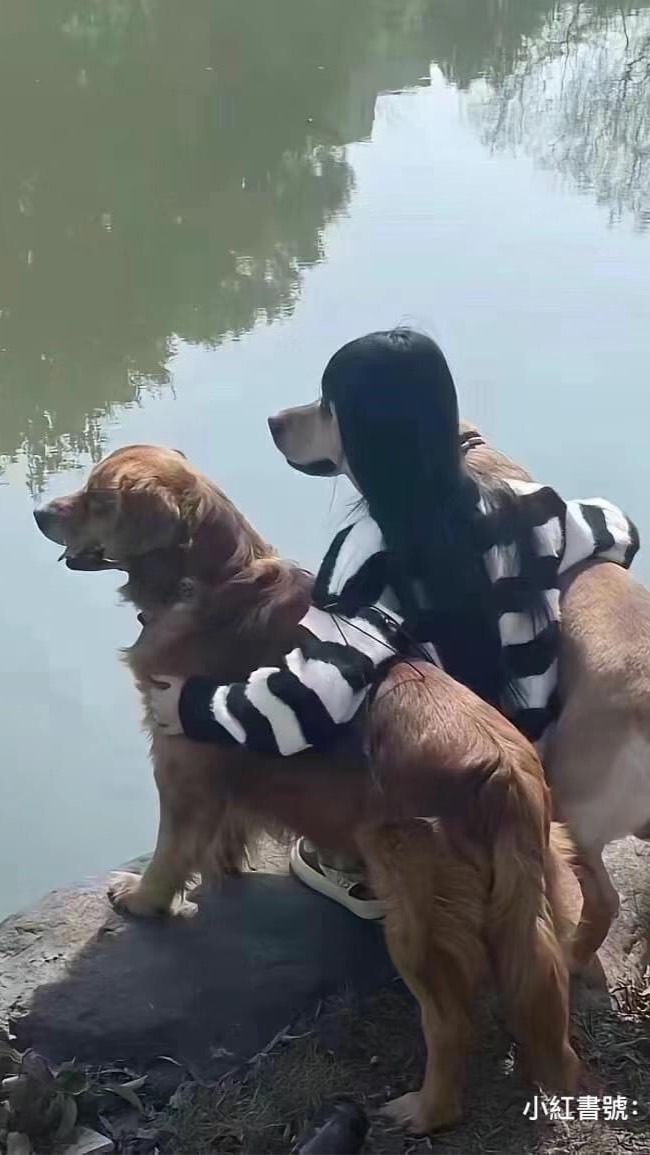 中部澀畜培訓班