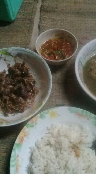 หนุทอด