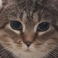ぜの様王国領 ぷぷぷランド