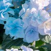 地球の裏側でいつか  また出会えるかな  ；  全緩固定
