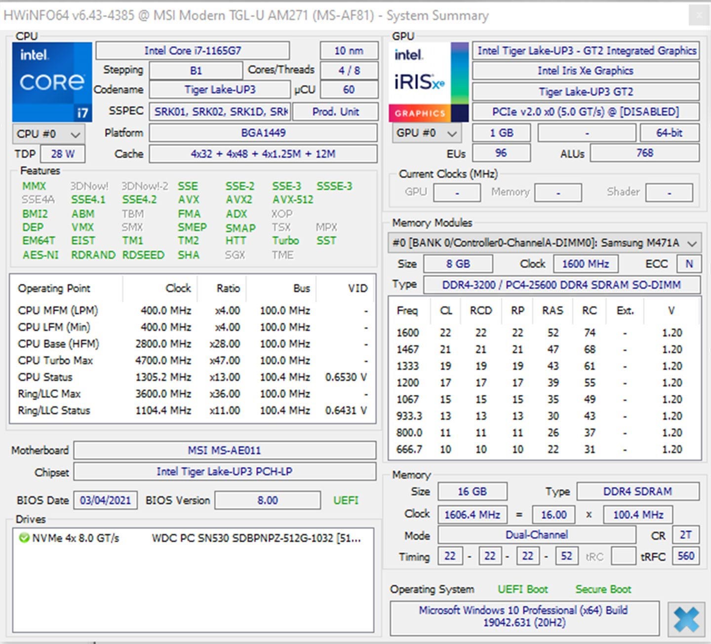 透過 HWiNFO64 查看 Modern AM271 的處理器與顯示晶片資訊。