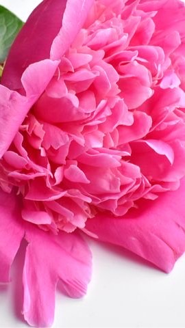 OpenChat 経営者の心💖お悩み相談室　お気軽にどうぞ