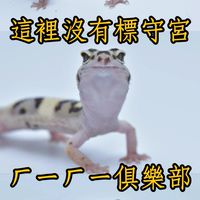 這裡沒有標守宮 ㄏㄧㄏㄧ俱樂部